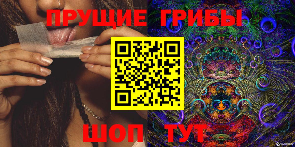 Псилоцибиновые грибы Psilocybine cubensis Рязань